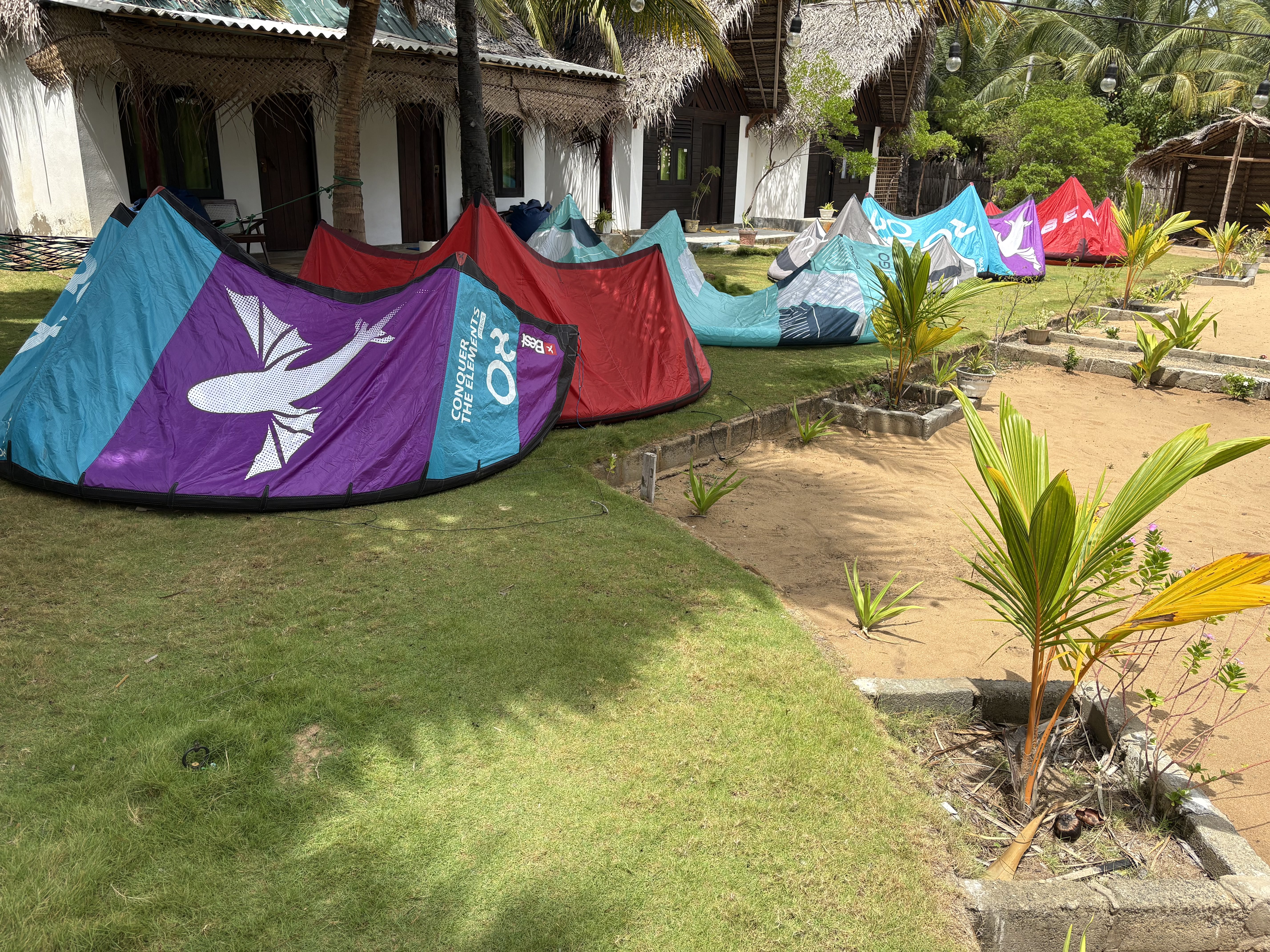 Our Kites